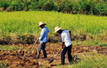 种田开荒类手游大全
