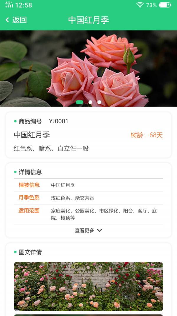 玉苗2