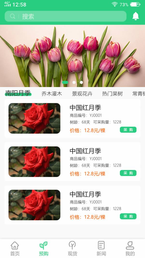 玉苗3