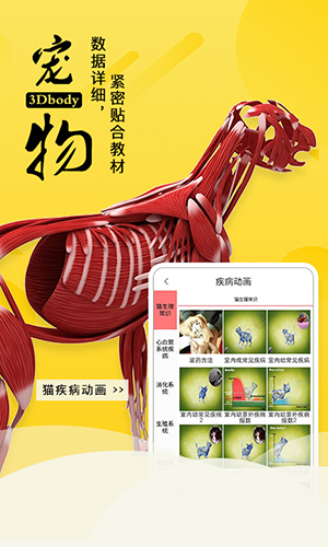 3dbody宠物2