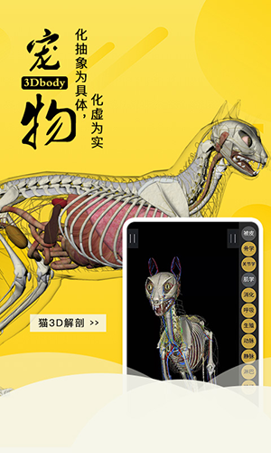 3dbody宠物3