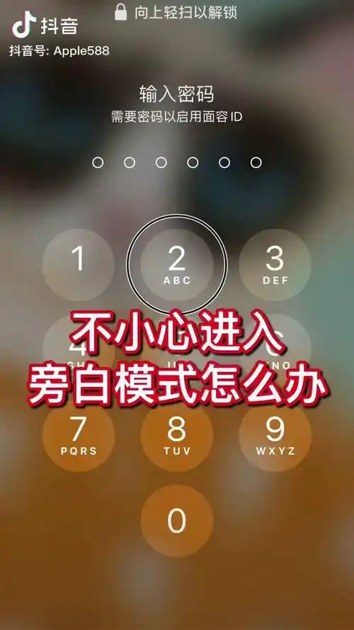 iPhone如何开启已滚动过页面的旁白触感