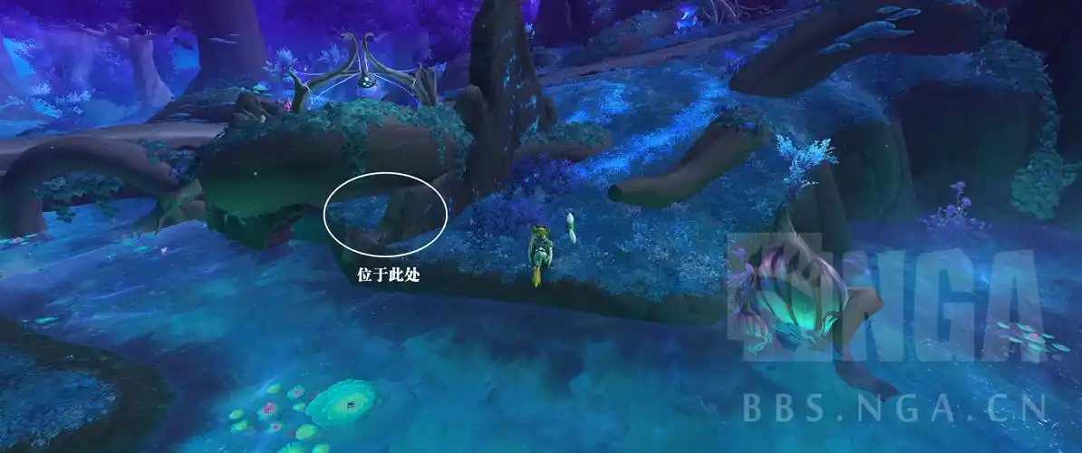 魔兽世界9.0烁光林枝囤果者小宠物怎么获取