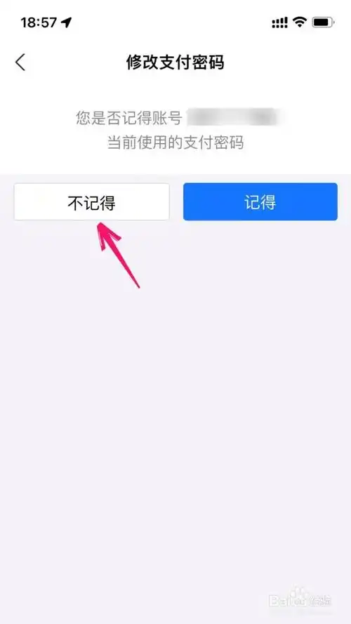 支付宝支付密码修改方法