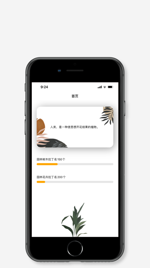 拉丁园3