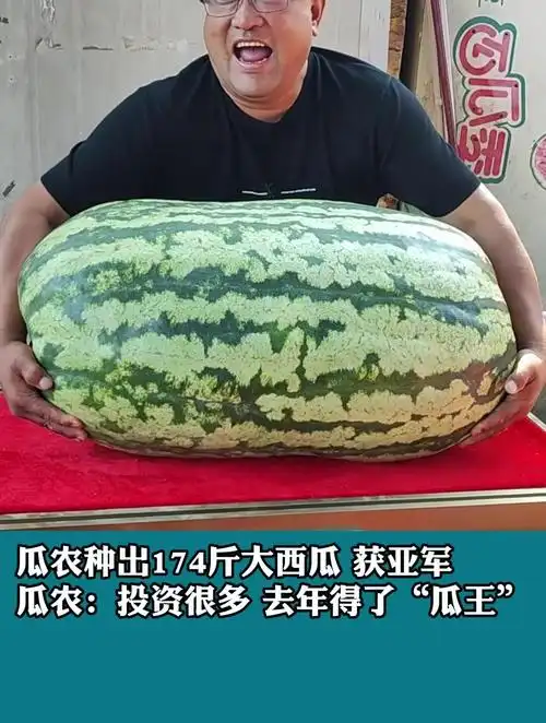 51今日有哪些热门大瓜