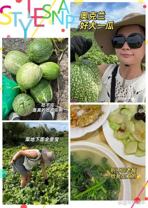 51今日有哪些热门大瓜