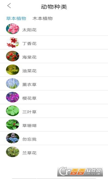 品植-植物识别软件1
