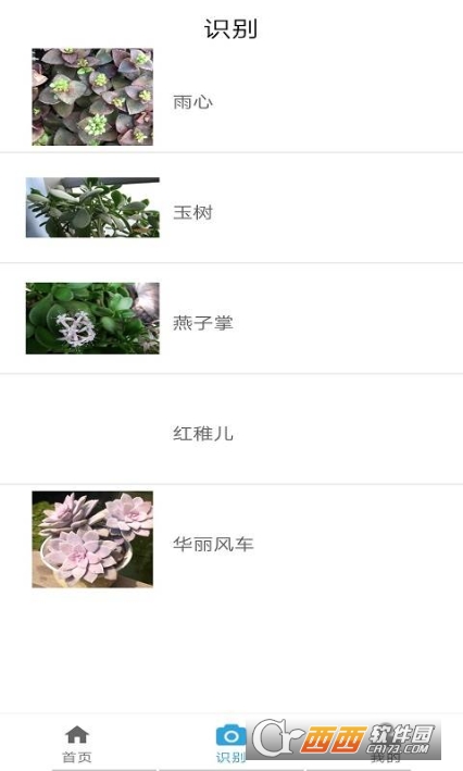 品植-植物识别软件2