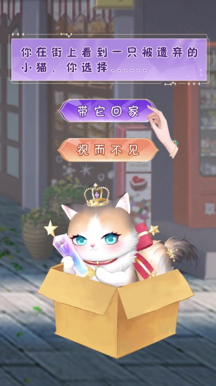 我的灵宠是只猫3
