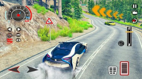 极端赛车模拟器1