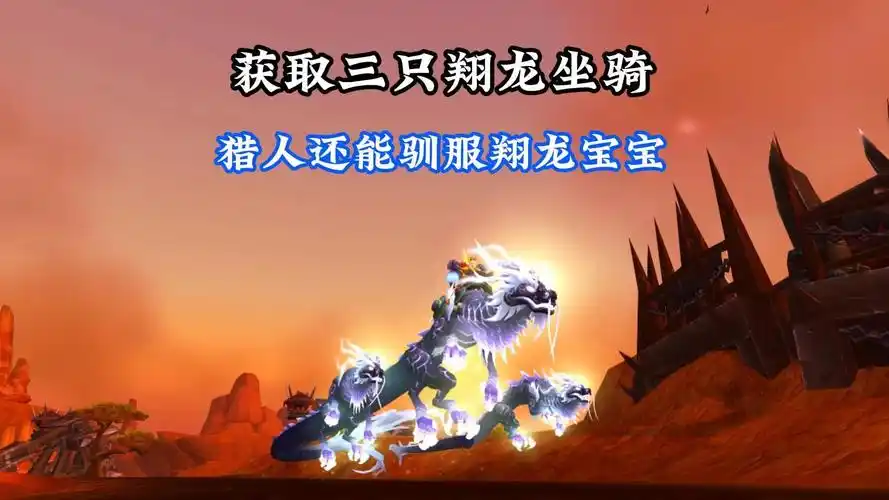 魔兽世界9.0驯服翔龙宠物的超详细攻略