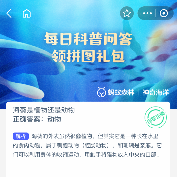 2025年神奇海洋8月21日今天答案是什么