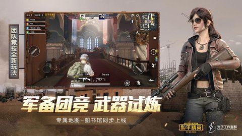 pubg国服（PUBG MOBILE）2