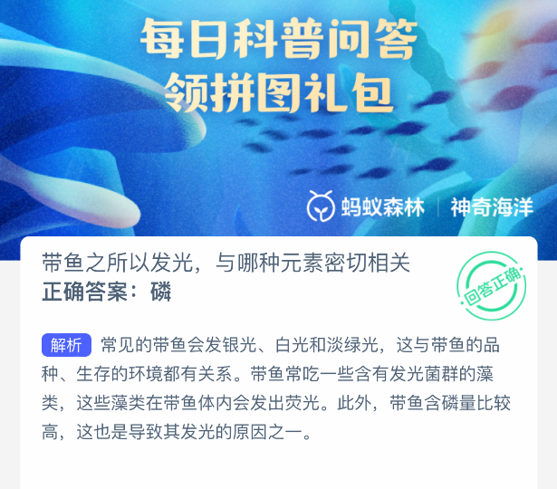 神奇海洋2025年8月22日今天答案是什么