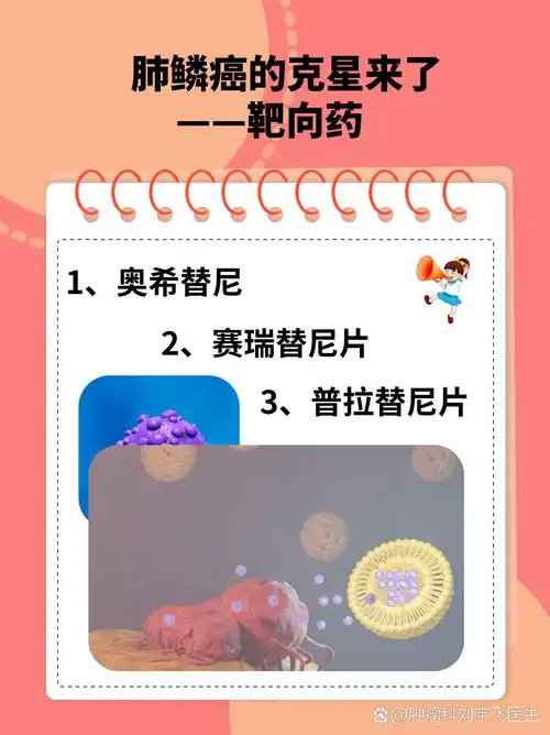 NameDrop的作用是什么