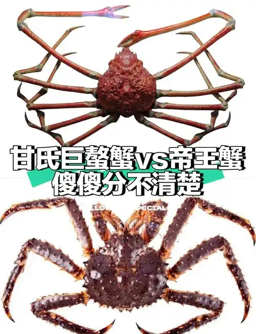 皇帝蟹与帝王蟹是否为同种蟹