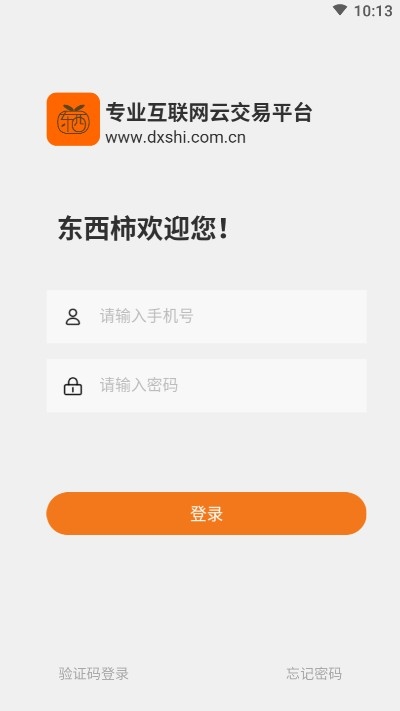 东西柿1