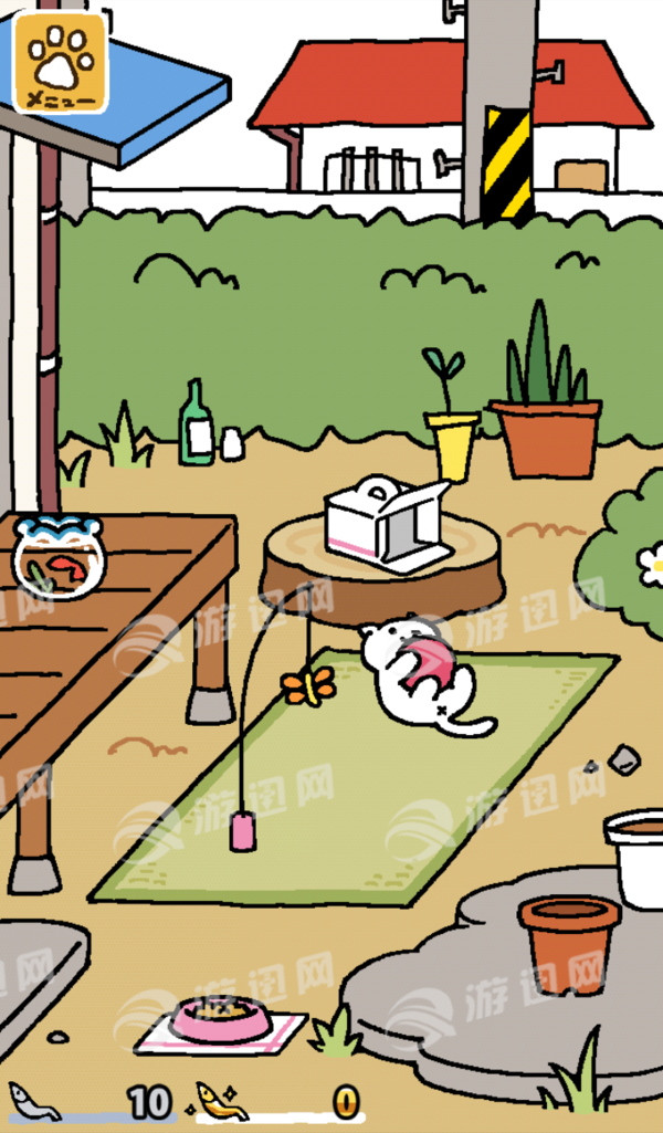 猫咪后院24