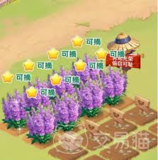 我的花园世界如何送花