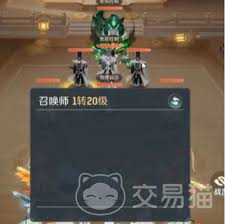 灵兽大冒险大雁塔五层怎么通关