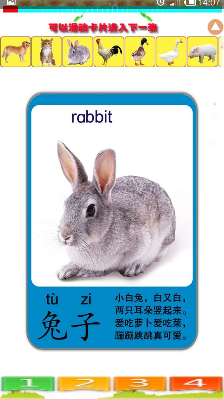 儿童识动物3