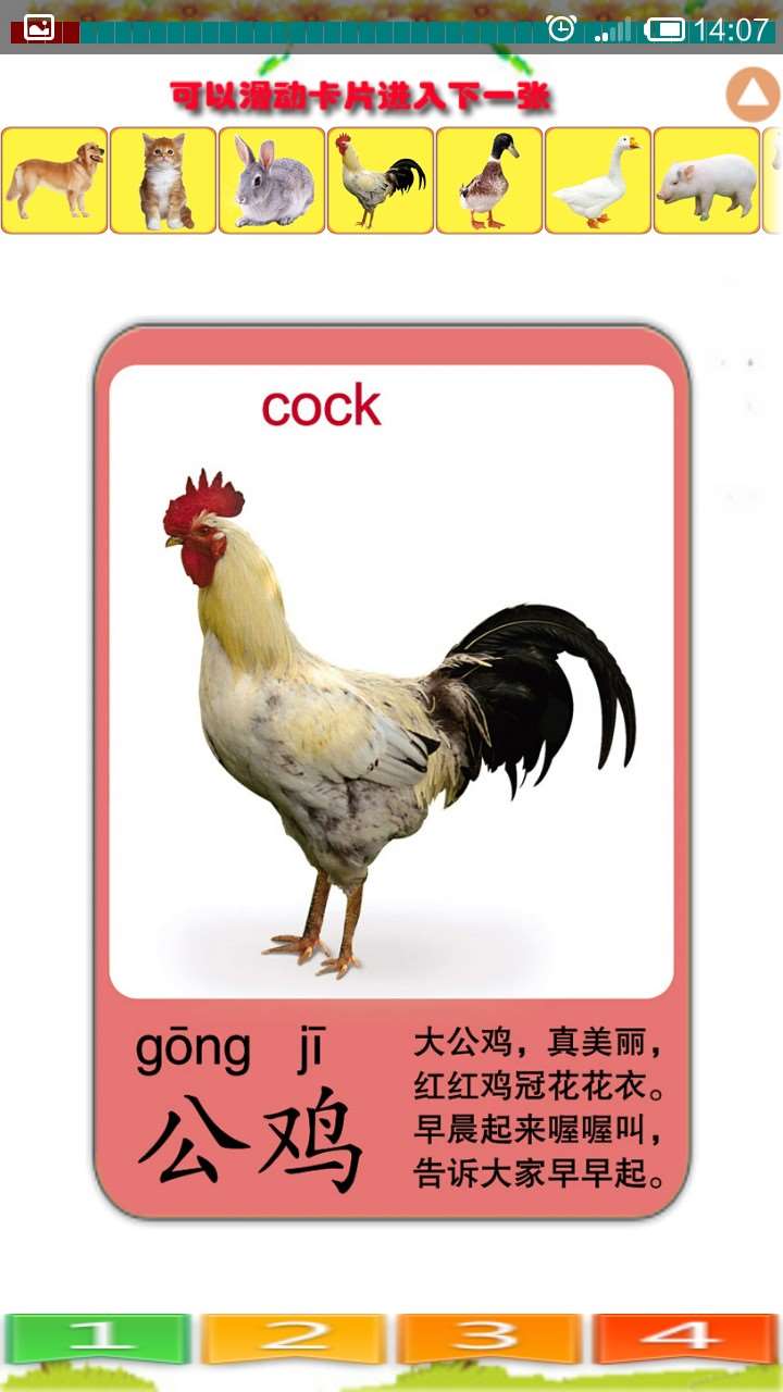 儿童识动物4