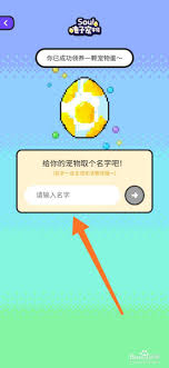 soul社交app的电子宠物功能如何使用