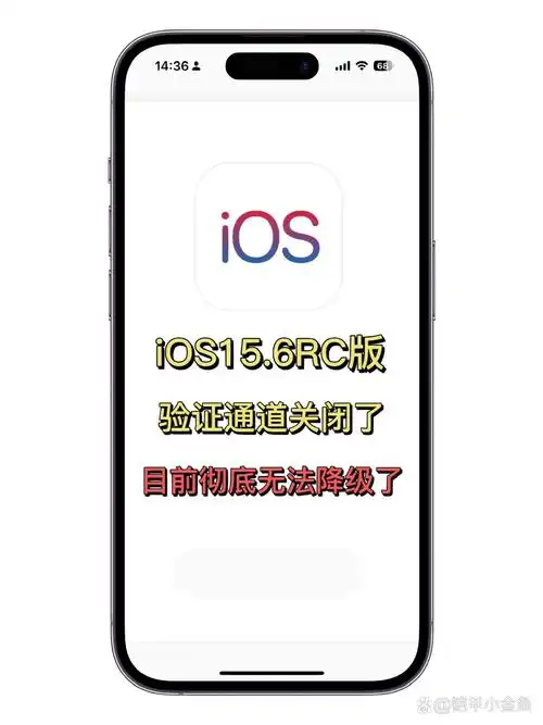 iOS版本验证通道已停用如何检查