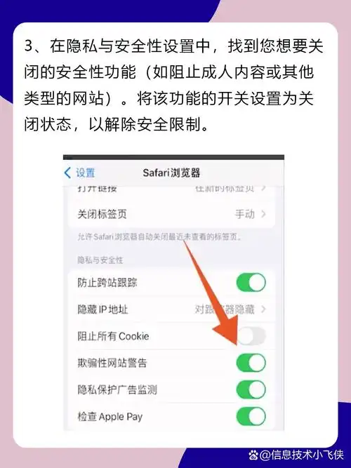 Safari隐私浏览模式下如何自动删除URL跟踪参数