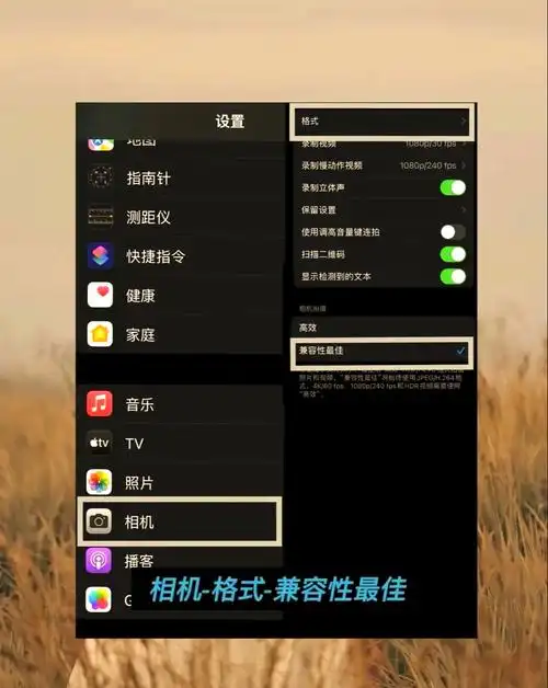 苹果iPhone相机模式怎么在捷径中启用