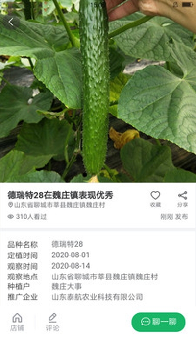 八邀八(蔬菜品种管理)1