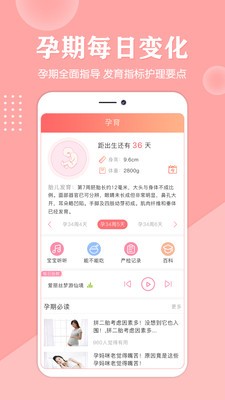 亲宝贝2
