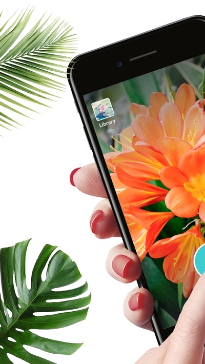 Plantnet4