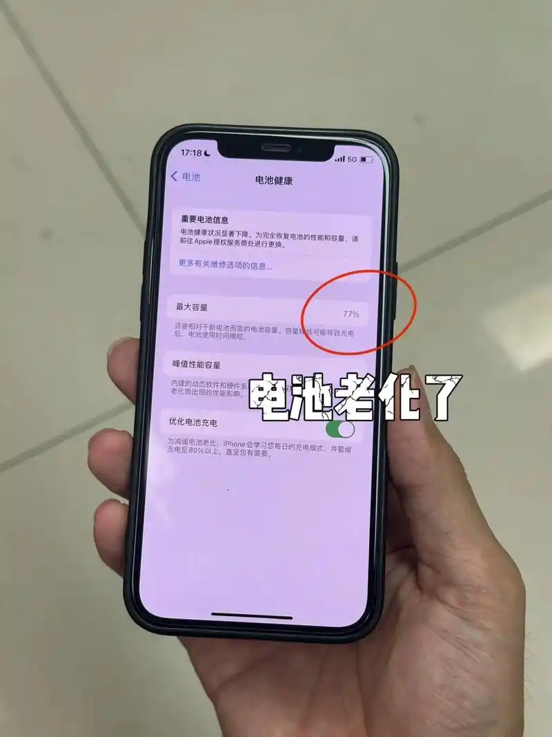 苹果手机使用10个月后电池容量仅90%怎么办