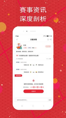 球料4