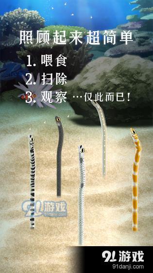 养育花园鳗的治愈游戏中文2