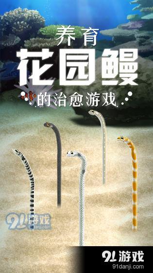 养育花园鳗的治愈游戏中文