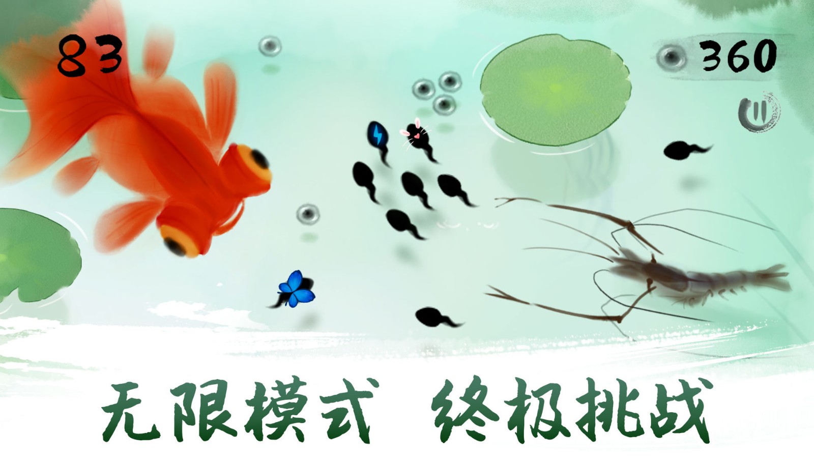 墨虾探蝌1