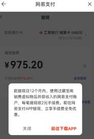 藏宝阁提现网易支付未到账如何解决