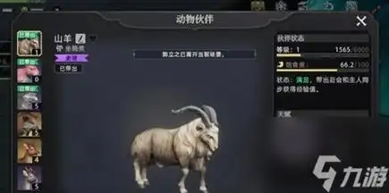 荒原曙光哪个宠物好