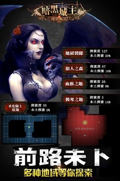 暗黑城主单机版