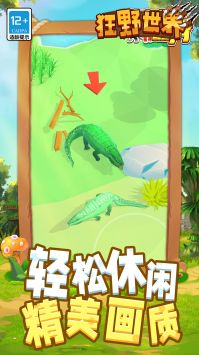 狂野世界4
