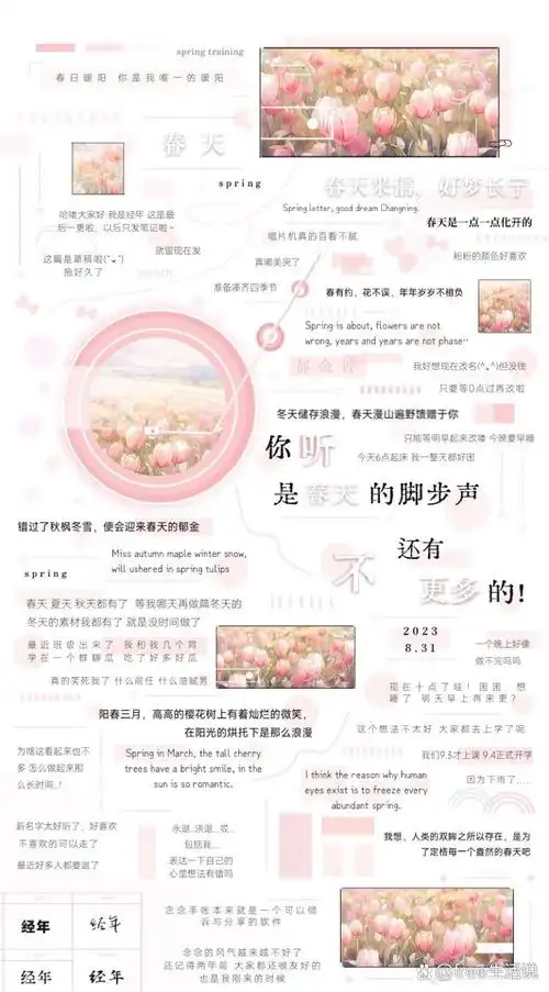念念手帐怎样看新增加的粉丝