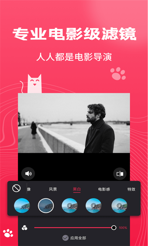 Pr剪辑大师3
