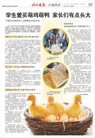 鸭鸭2层的开房策略是什么