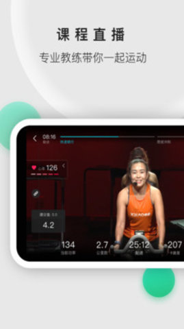 小乔直播无会员1