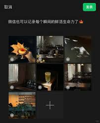 微信聊天live图怎么发