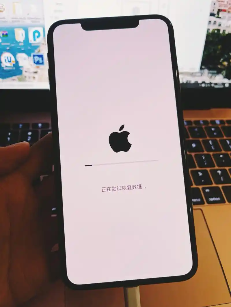 如何解决iPhone11卡在白苹果且内存满无法开机的问题