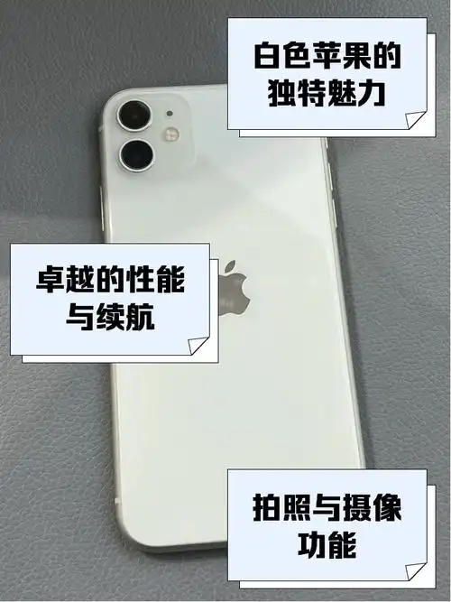 如何解决iPhone11卡在白苹果且内存满无法开机的问题